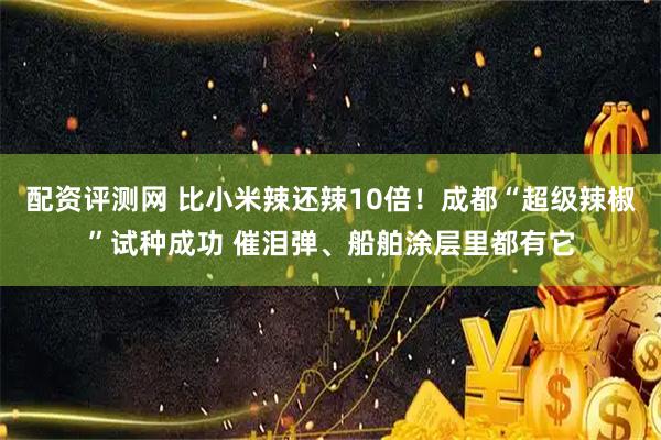 配资评测网 比小米辣还辣10倍！成都“超级辣椒”试种成功 催泪弹、船舶涂层里都有它