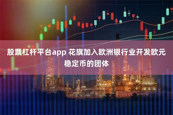 股票杠杆平台app 花旗加入欧洲银行业开发欧元稳定币的团体